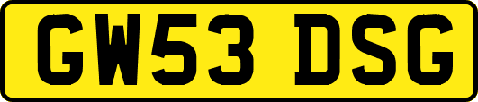 GW53DSG