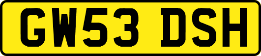 GW53DSH