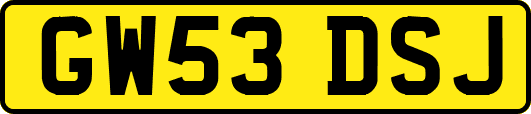 GW53DSJ