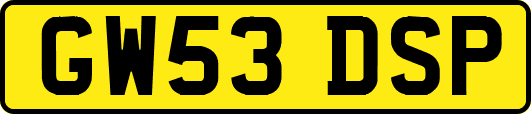 GW53DSP