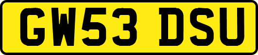 GW53DSU