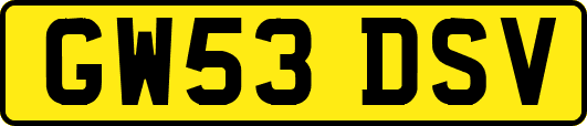 GW53DSV