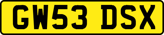 GW53DSX