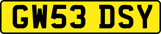 GW53DSY