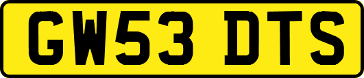 GW53DTS