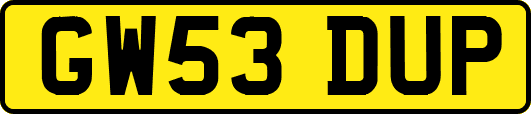 GW53DUP