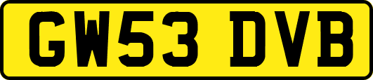 GW53DVB