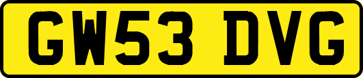 GW53DVG