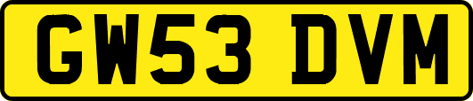 GW53DVM