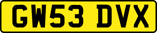 GW53DVX