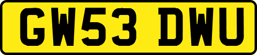 GW53DWU