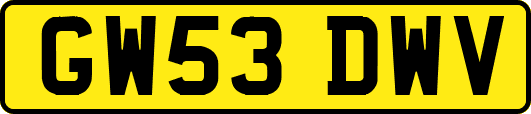 GW53DWV