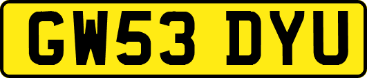 GW53DYU