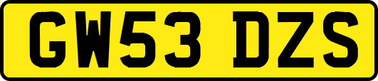 GW53DZS