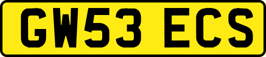 GW53ECS