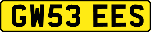 GW53EES