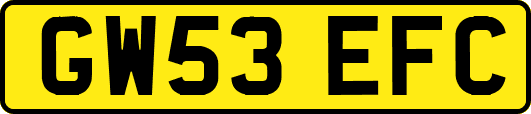 GW53EFC