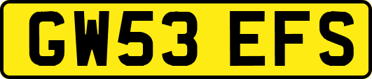GW53EFS