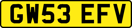 GW53EFV