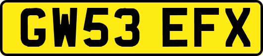 GW53EFX