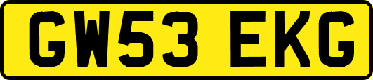 GW53EKG