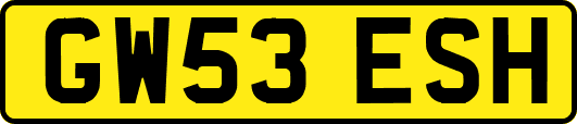 GW53ESH