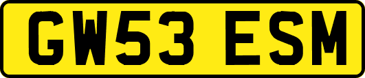 GW53ESM
