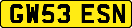 GW53ESN