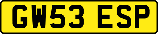 GW53ESP