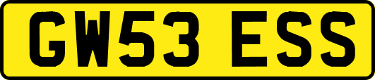 GW53ESS