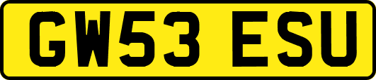 GW53ESU