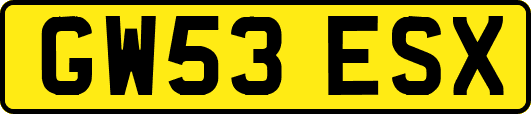 GW53ESX