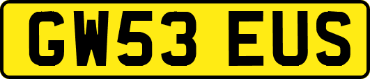 GW53EUS