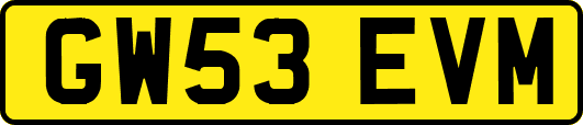 GW53EVM