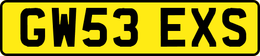 GW53EXS