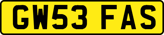 GW53FAS