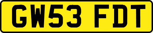 GW53FDT