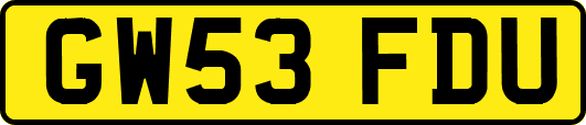 GW53FDU