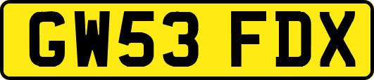GW53FDX