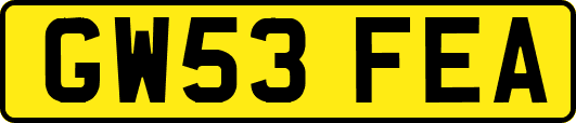 GW53FEA