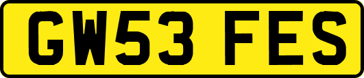 GW53FES