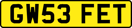 GW53FET
