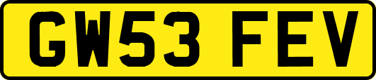 GW53FEV