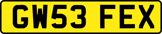 GW53FEX