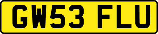 GW53FLU