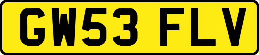 GW53FLV