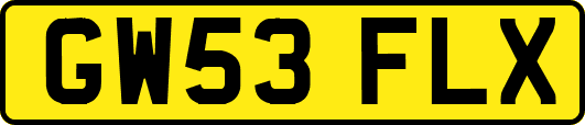 GW53FLX