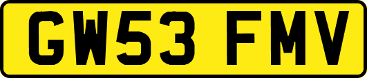 GW53FMV
