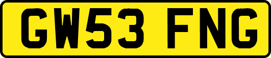 GW53FNG