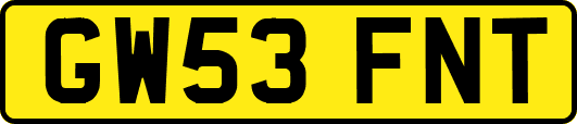 GW53FNT